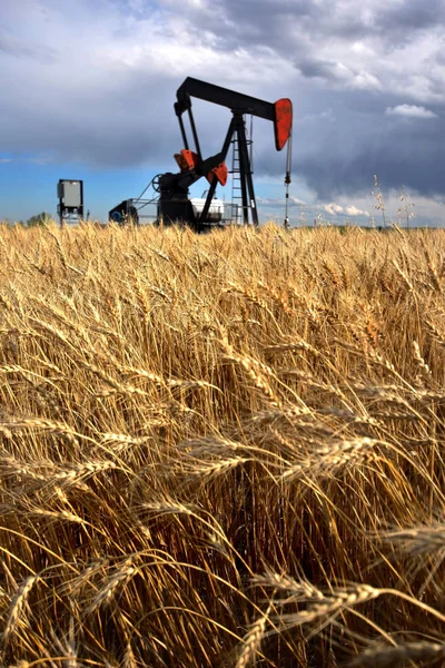 Pompa Oilfield Jack — Fotografie, imagine de stoc