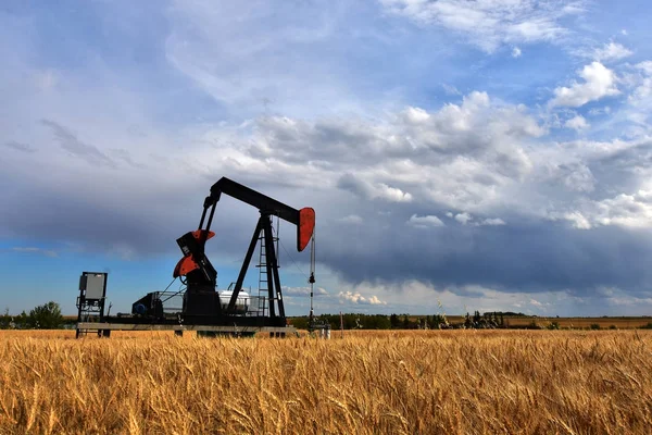 Jack de bomba de yacimiento petrolífero — Foto de Stock