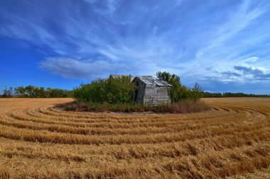 Eski tarım Homestead