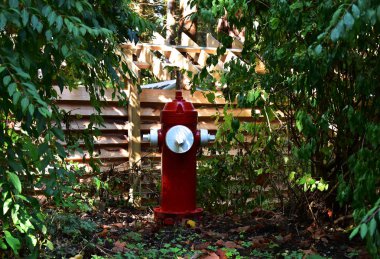 Kırmızı yangın musluğu