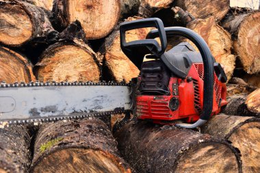 Kırmızı Chainsaw ve ahşap kazık