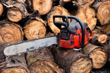 Kırmızı Chainsaw ve ahşap kazık