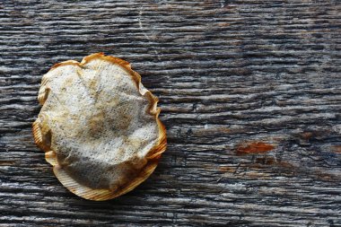 Ahşap bir masanın üzerindeki tek bir eski çay poşetinin üst görünümü. 