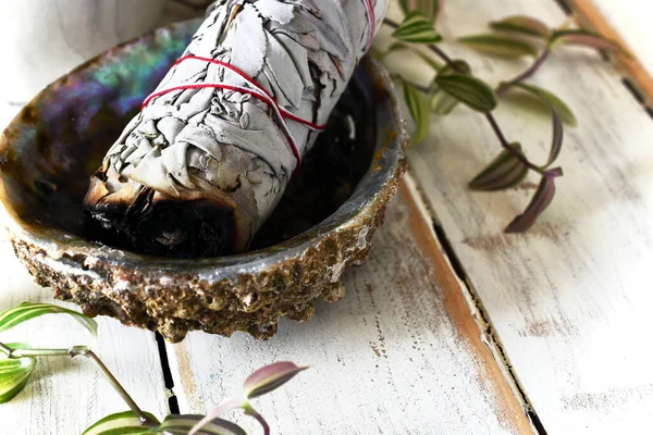 Uma Imagem Close Feixe Sábio Branco Uma Concha Abalone Com — Fotografia de Stock