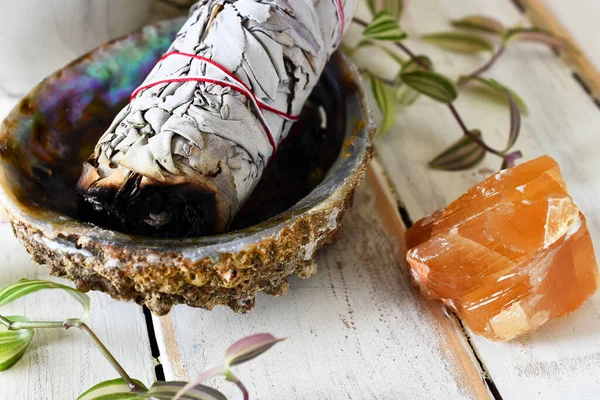 Uma Imagem Perto Feixe Sábio Branco Uma Concha Abalone Com — Fotografia de Stock