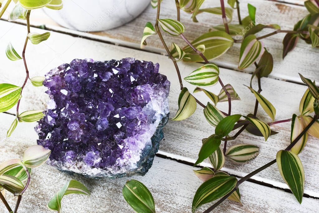 A close up image of a large deep purple amethyst cluster and lush green plant on a white washed wooden table top. 