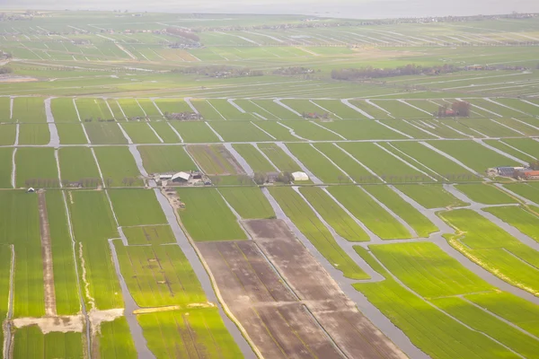 Widok z góry na holenderski zielony krajobraz z wody — Zdjęcie stockowe