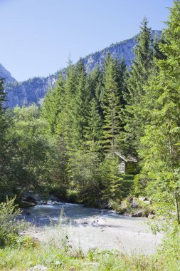 Yaz aylarında çevre Ehrwald, Tirol, Avusturya dağlarında güzel manzaraya
