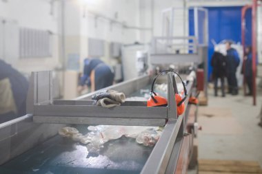 üretim hattı plastik atık facto işlenmesi için