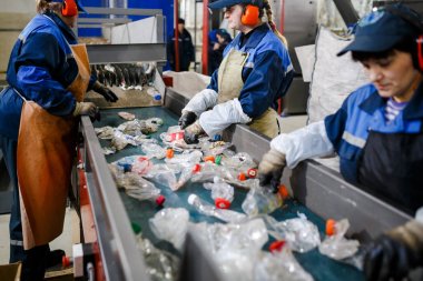 Minsk, Beyaz Rusya - 23 Aralık 2017: Kadın çalışmalarına üretim hattı Plastik atıkların işlenmesi için