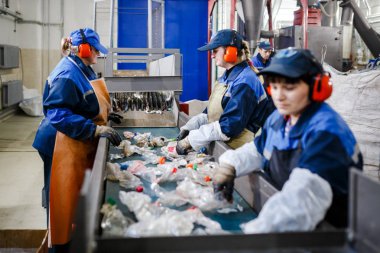 Minsk, Beyaz Rusya - 23 Aralık 2017: Kadın çalışmalarına üretim hattı Plastik atıkların işlenmesi için