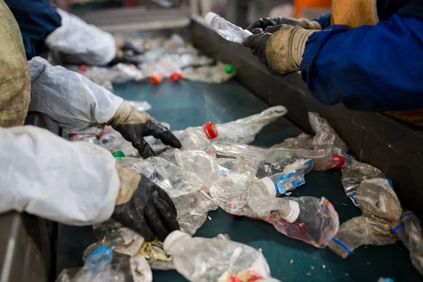 üretim hattı plastik atık facto işlenmesi için