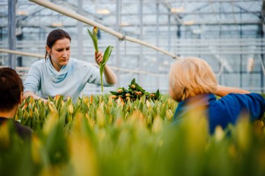 Minsk, Beyaz Rusya - 1 Mayıs 2017: bir greenho çalışma mutlu çiçekçi
