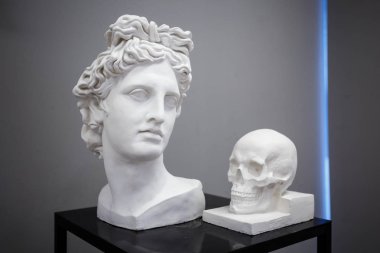 İnsan kafatası sıva beyaz renk