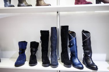 Beyaz arka plan üzerinde kadın ayakkabı koleksiyonu