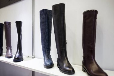 Beyaz arka plan üzerinde kadın ayakkabı koleksiyonu