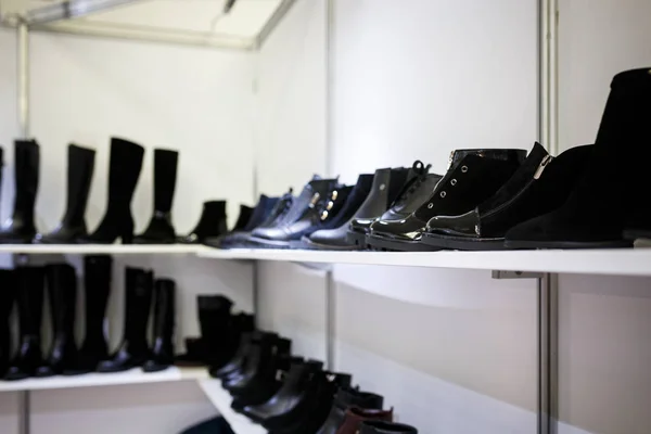 Colección de zapatos de mujer sobre fondo blanco — Foto de Stock