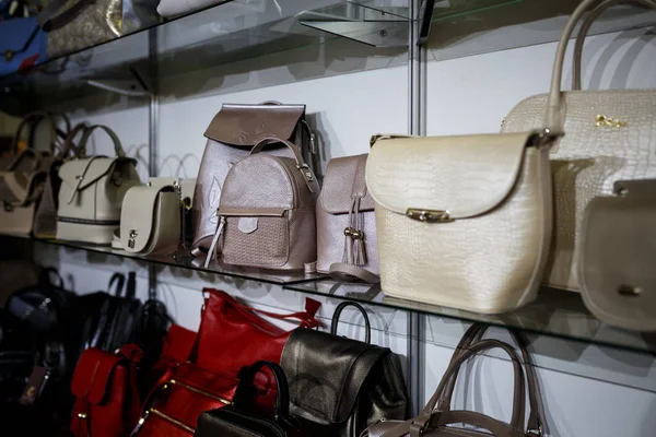 Los bolsos a la moda femeninos en la tienda . — Foto de Stock