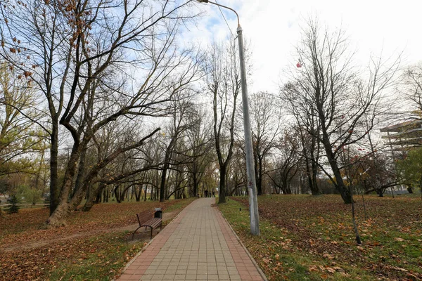 Hermosa plaza en otoño — Foto de Stock