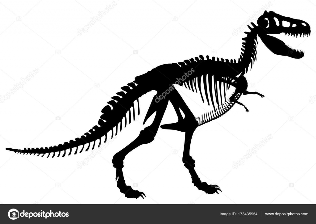 Tyrannosaurus rex esboço e silhueta ilustrações conjunto imagem