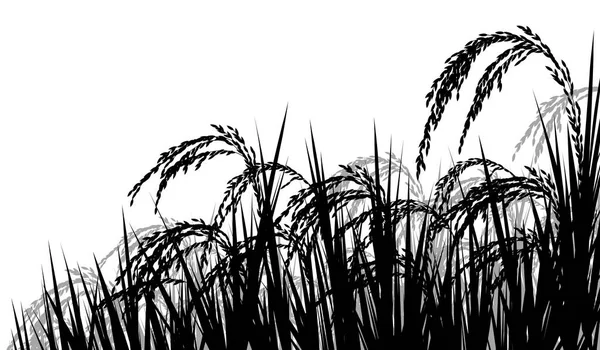 Rice ripe for harvest silhouette — Stock Vector