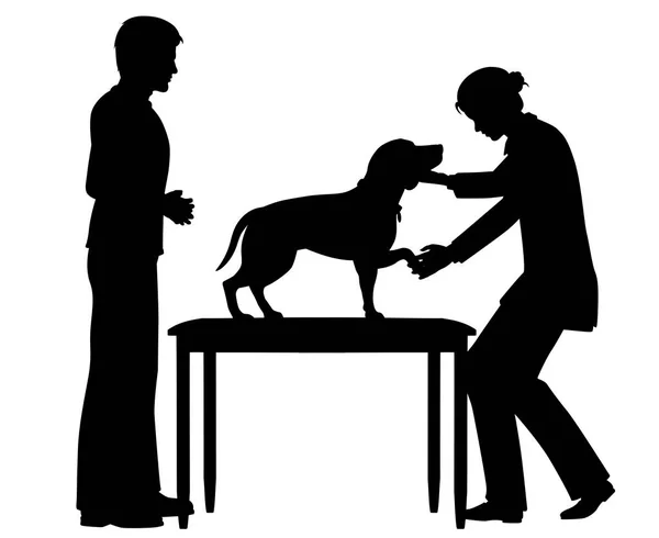 Vétéran féminin avec silhouette de chien — Image vectorielle