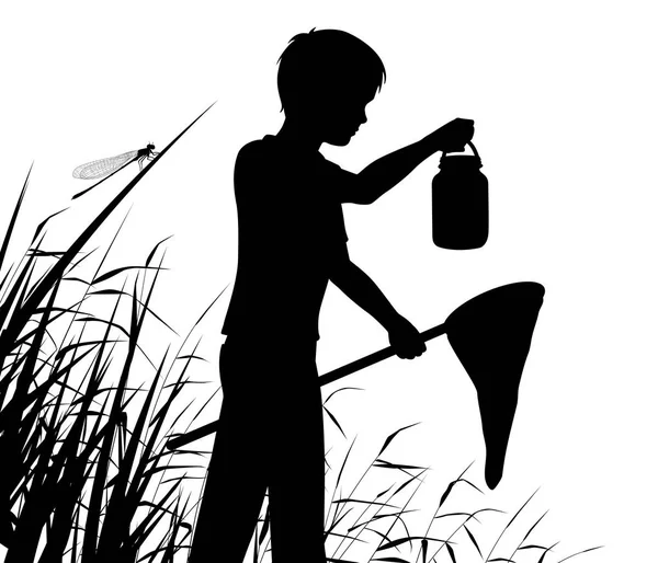 Young naturalist silhouette — Stock Vector