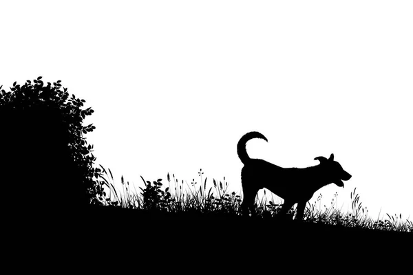 Meadow dog silhouette — Stock Vector