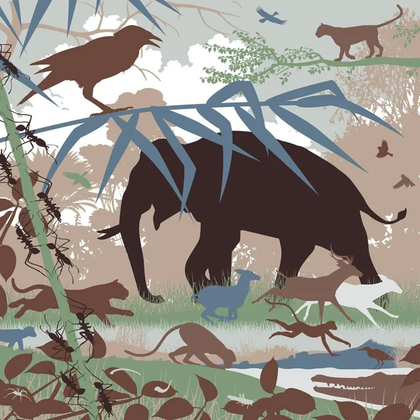 Asiatico fauna selvatica illustrazione — Vettoriale Stock