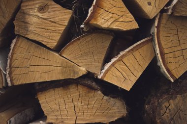 Huş yakacak odun kesme