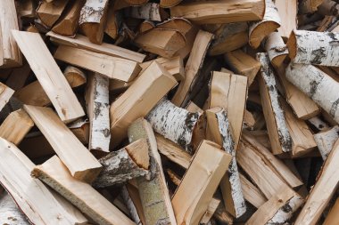 Huş yakacak odun kesme