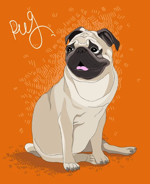 Şirin pug Illuatration