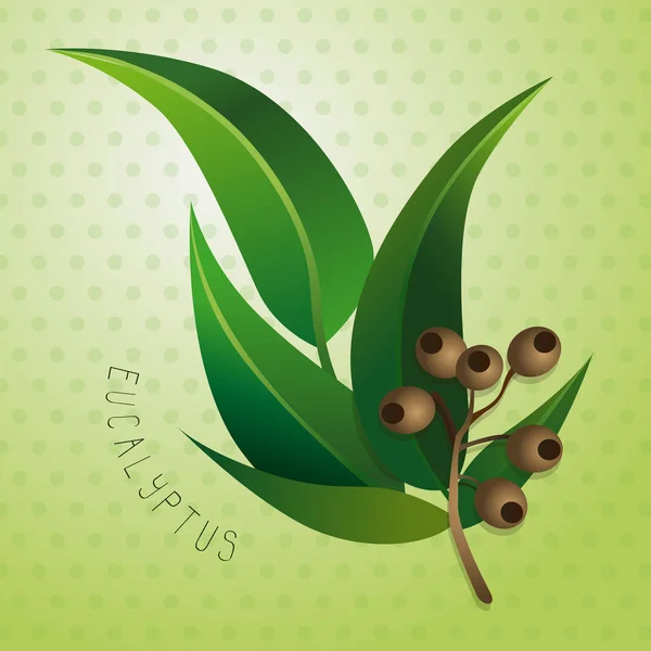 Arka plan ile okaliptüs illüstrasyon