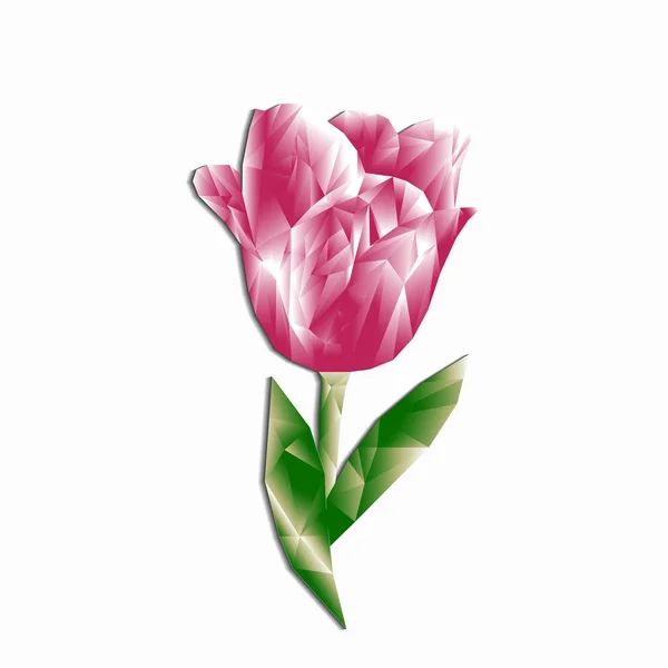 Polygonal tulip pink volymetrisk med skugga isolerade för gratulationer — Stock vektor