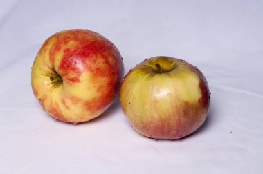 kırmızı lezzetli aplples