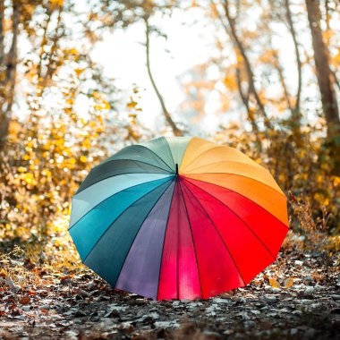 Gökkuşağı renkli şemsiye