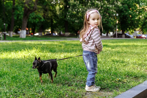 Menina em uma blusa listrada rosa e jeans azul andando com um cão — Fotografia de Stock