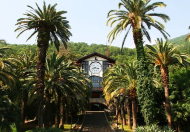 Abhazya restoranda Gagripsh