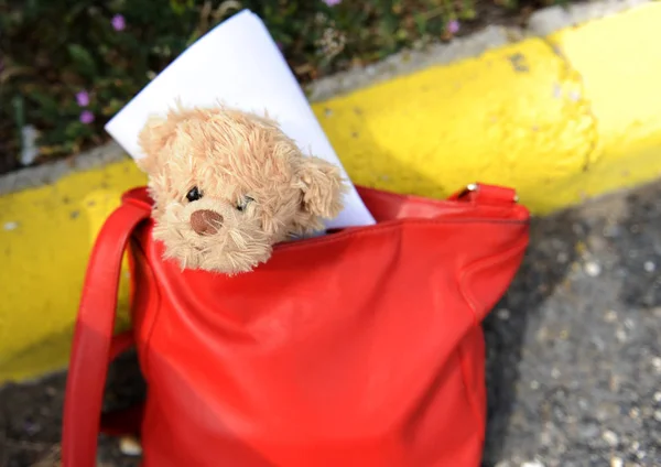 Медвежонок сидит в красной сумочке. — стоковое фото