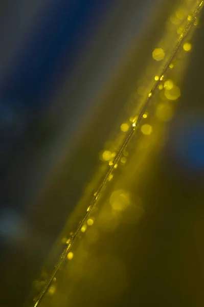 Sárga átlátszó műanyag lap — Stock Fotó