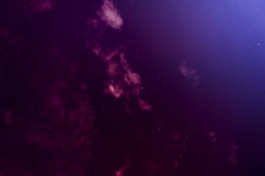 bir adamın elinde küçük bir yavru kedi vuruş