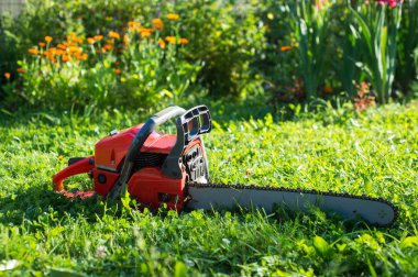 Testere çim üzerinde yalan