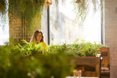 Netbook, sevimli kadın başarılı freelancer kafede otururken dizüstü bilgisayar kullanan çalışan genç kız öğrenci