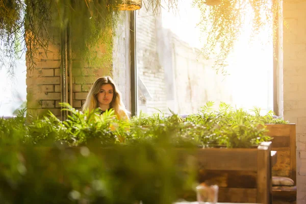 Netbook, sevimli kadın başarılı freelancer kafede otururken dizüstü bilgisayar kullanan çalışan genç kız öğrenci