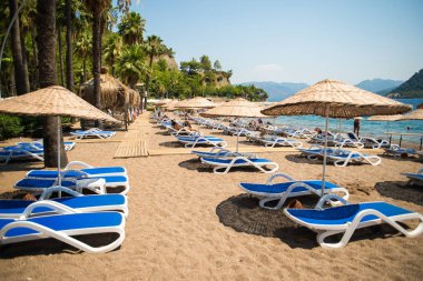 Türkiye'de bir plajda şezlong