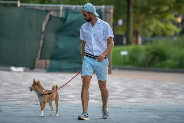 Besitzerin Geht Mit Hund Park Spazieren Stockbild