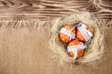 Paskalya yumurtaları ehlileştirmek üzerinde