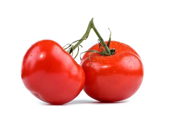 흰 배경에 있는 빨간 익은 토마토. — 스톡 사진