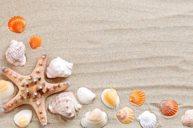Deniz yıldızı, deniz kabuklarını, deniz taşları ve palmiye yaprakları deniz kum üzerinde yalan. Etiketler için bir yer var..