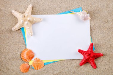 Deniz yıldızı ve kartpostal kumsalda yatarken kabukları.